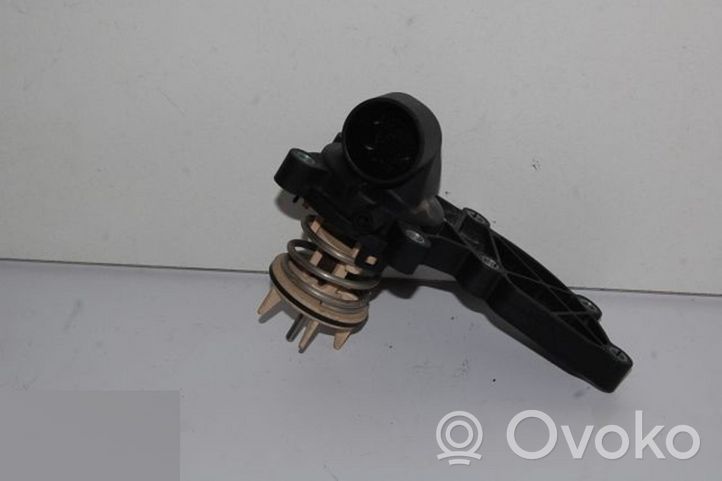 Audi A7 S7 4G Termostatas 06E121111T