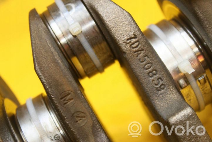 Volkswagen Touran I Crankshaft 06AF