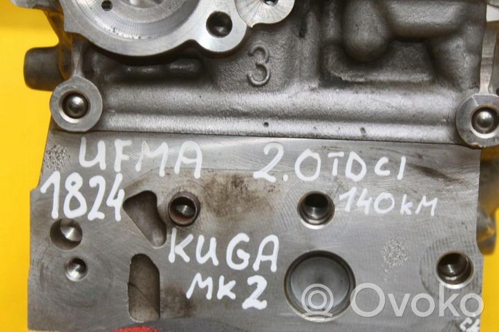 Ford Kuga II Culasse moteur 