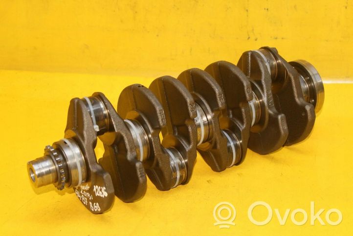 Volkswagen PASSAT B7 Crankshaft 6AAJ