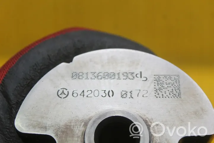 Mercedes-Benz ML W164 Oil pump balance shaft 6420300172