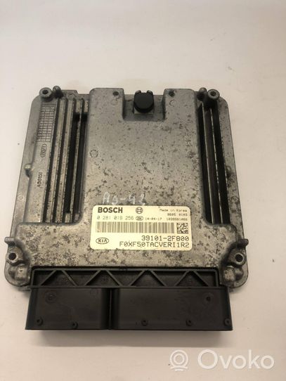 KIA Sorento Engine control unit/module 391012F800