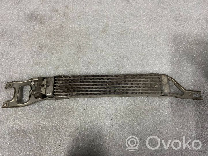 Mercedes-Benz A W169 Dzesēšanas šķidruma radiators a1695000200