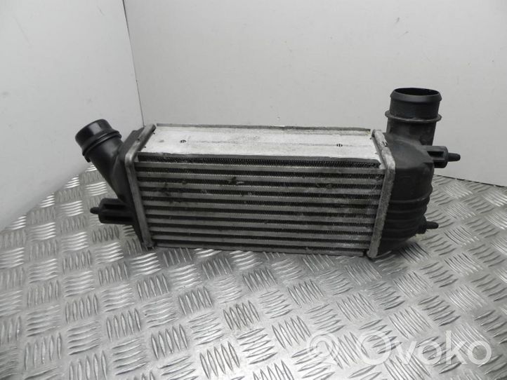 Citroen Jumpy Intercooler radiator 8999500
