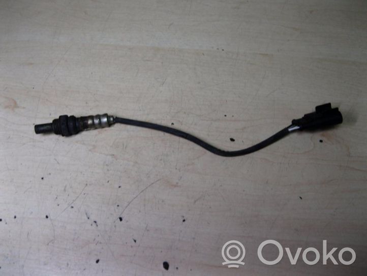 Ford Ka Sensore della sonda Lambda 55202416