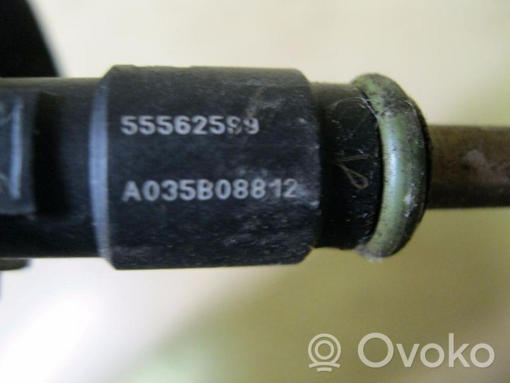 Opel Astra J Distributore del carburante agli iniettori 55562599