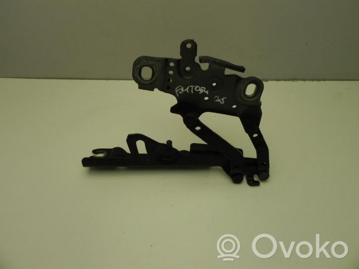 BMW 4 F32 F33 Cerniera portellone posteriore/bagagliaio 7336700