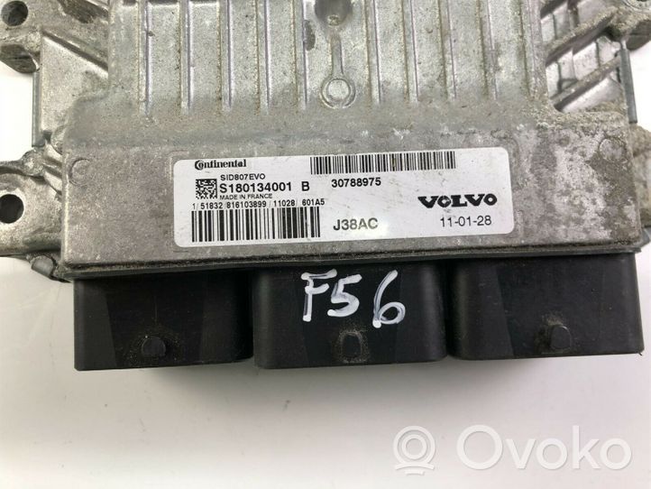 Volvo V50 Altre centraline/moduli 30788975