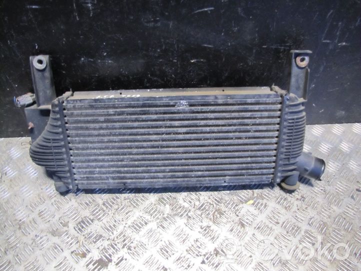 Nissan Pathfinder R51 Radiatore intercooler F6864