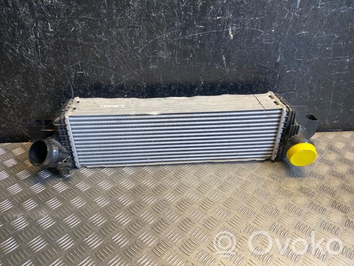 BMW X1 F48 F49 Intercooler radiator 761760005