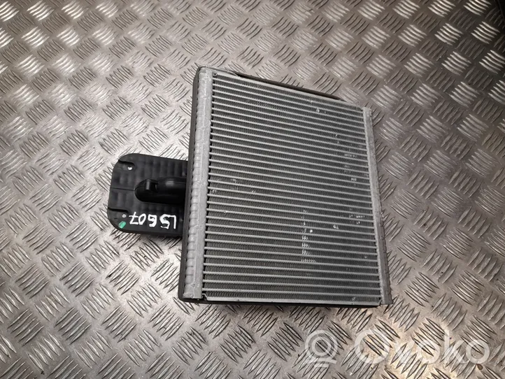 Tesla Model S Radiatore riscaldamento abitacolo F168FPCAA