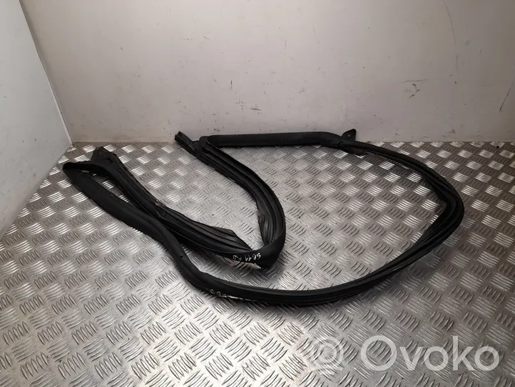 Tesla Model 3 Front door rubber seal 109049900M