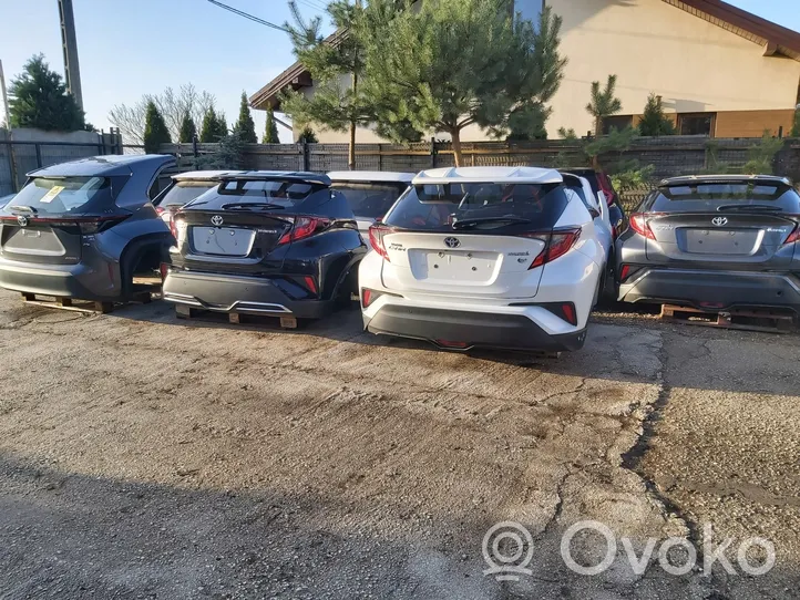 Toyota C-HR Cerniere del vano motore/cofano 