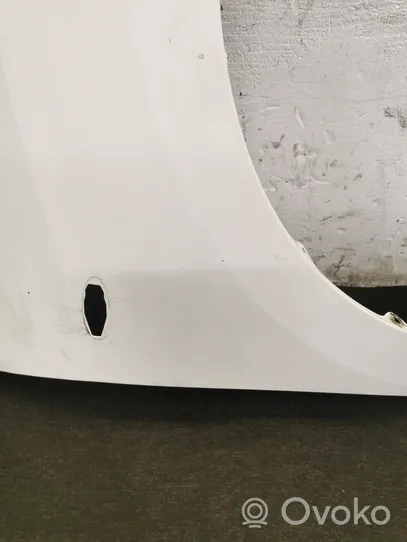 Toyota Verso Fender 