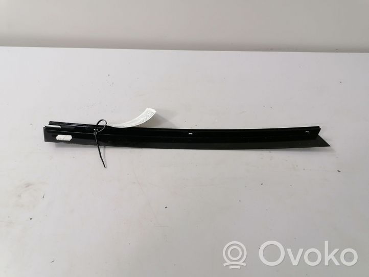 BMW X5 E70 Rivestimento modanatura del vetro della portiera anteriore 1234567