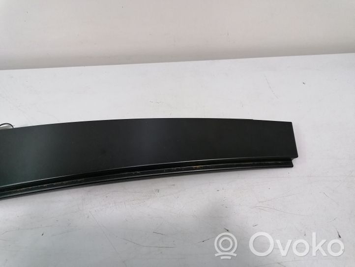 BMW X6 E71 Rivestimento modanatura del vetro della portiera posteriore 1234567