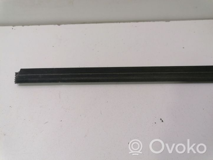 BMW 3 E92 E93 Rivestimento modanatura del vetro della portiera anteriore 7119079