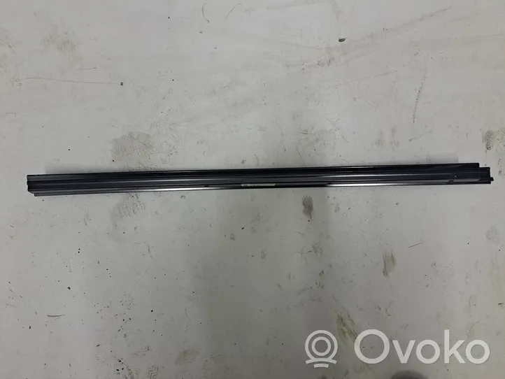 BMW X3 G01 Rivestimento modanatura del vetro della portiera posteriore 7410048