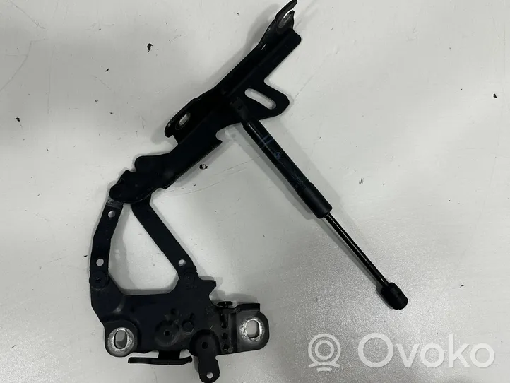 BMW 1 F20 F21 Cerniere del vano motore/cofano 7336699