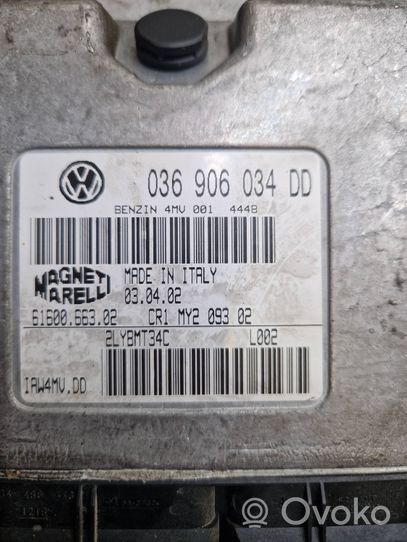 Volkswagen Polo Centralina/modulo del motore 036906034DD