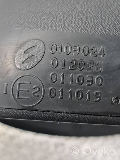 Citroen C3 Elektryczne lusterko boczne drzwi przednich E2011019