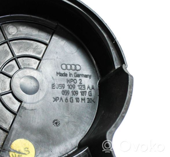 Audi A6 S6 C6 4F Altra parte del vano motore 059109107G