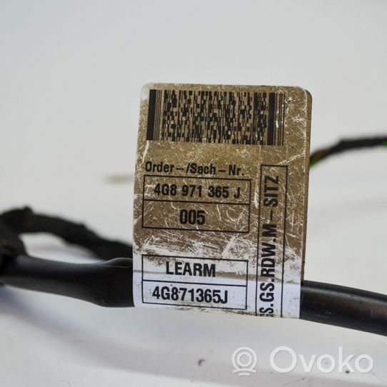 Audi A6 S6 C7 4G Cablaggio per freni 4G8971365J