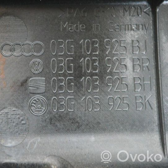 Volkswagen Jetta III Dzinēja pārsegs (dekoratīva apdare) 03G103925BJ