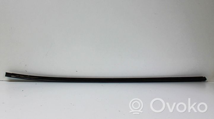 Volkswagen Phaeton Windshield trim 