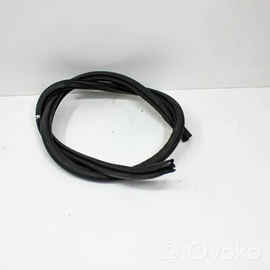 Volkswagen Scirocco Rubber seal front coupe door 1K8867911B