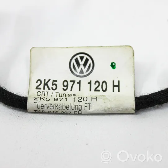 Volkswagen Caddy Faisceau de câblage de porte avant 2K5971120H
