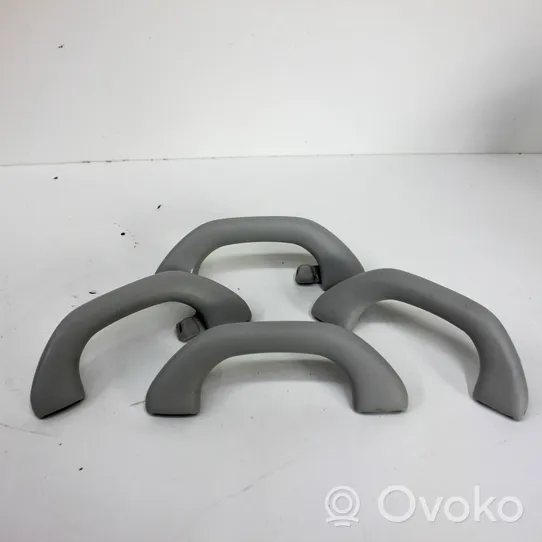 Volkswagen Tiguan A set of handles for the ceiling 1K0857607N