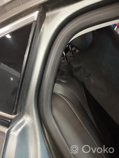 Opel Insignia B Gumowa uszczelka drzwi przednich 39203331