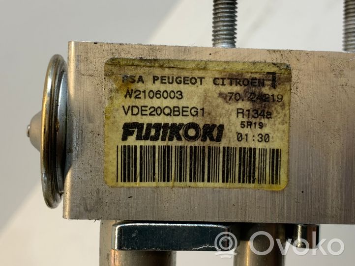 Citroen C5 Heater blower radiator H4848004