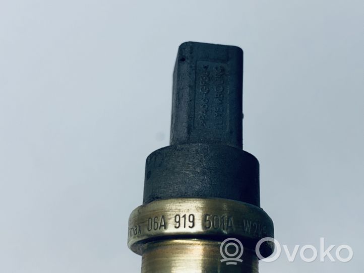 Volkswagen Caddy Coolant temperature sensor 06A919501A