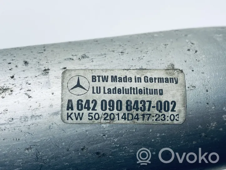 Mercedes-Benz S W222 Välijäähdyttimen letku A6420908437