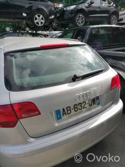 Audi RS3 8PA Pare-boue arrière 8P0810172K