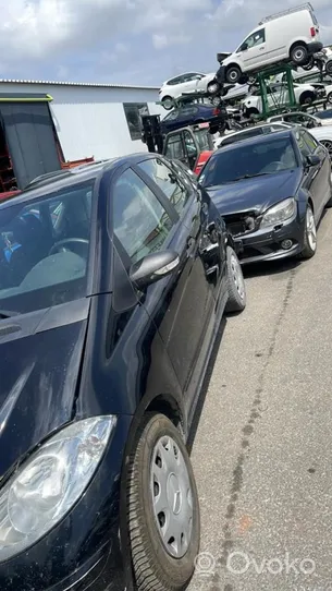 Mercedes-Benz A W169 Takapyörän sisälokasuojat 1696982030