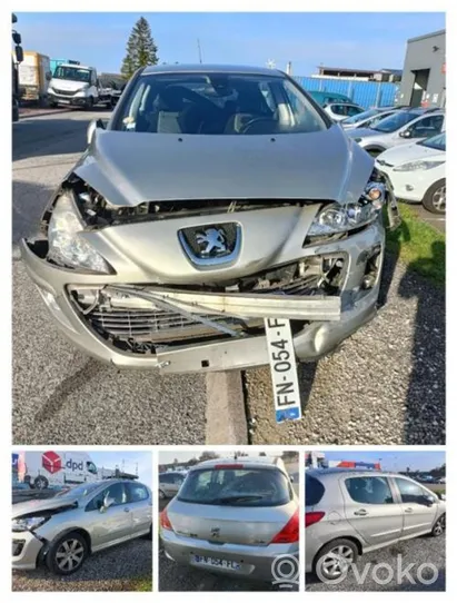 Peugeot 308 Set di cerniere portiera anteriore 8613E3