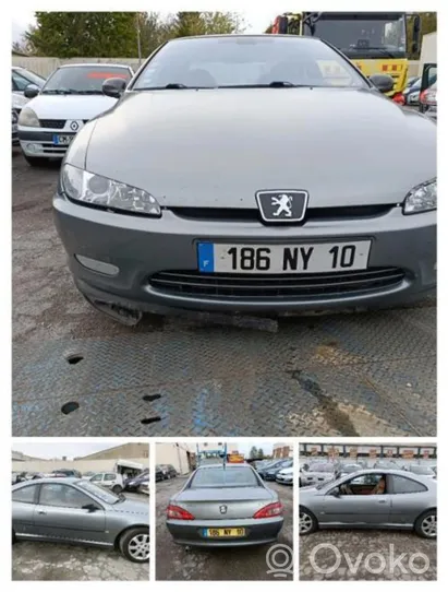 Peugeot 406 Langų skysčio siurbliukas (stiklų) 643458