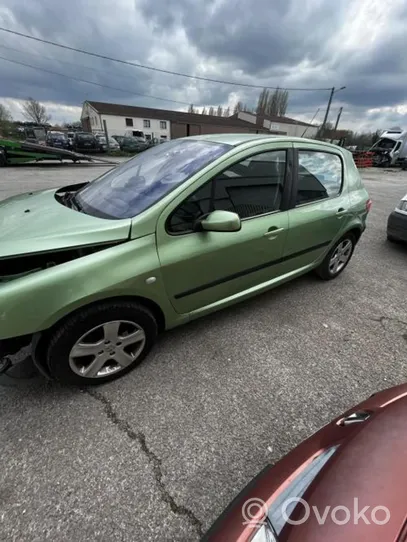 Peugeot 307 Sandarinimo guma priekinių durų (ant kėbulo) 9023KE