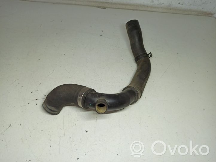 Audi A3 S3 A3 Sportback 8P Durite de refroidissement tube 