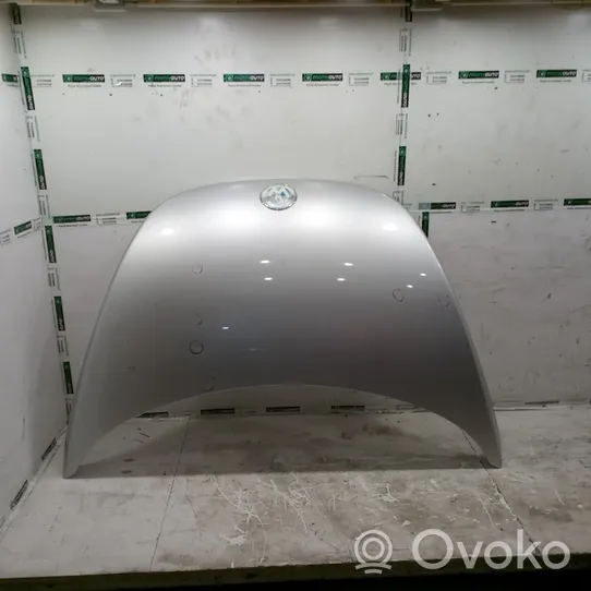 Volkswagen New Beetle Vano motore/cofano 