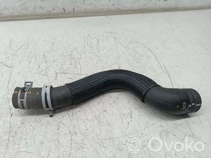 Citroen Berlingo Durite de refroidissement tube 