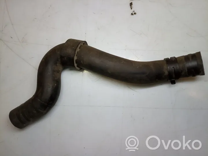 Audi A3 S3 8L Durite de refroidissement tube 