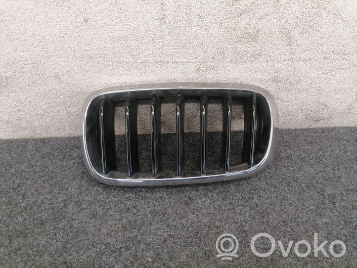 BMW X6 F16 Front grill 7308660