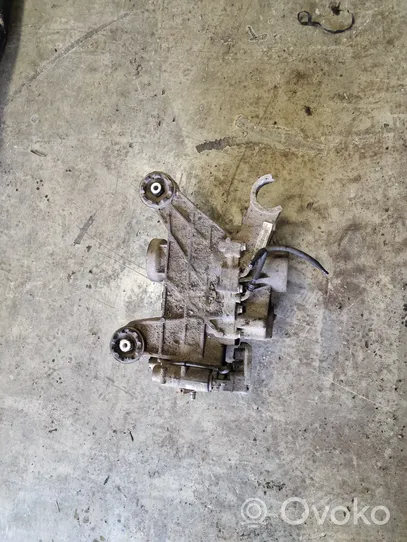 Volkswagen PASSAT B7 Rear differential ZSB0525010B