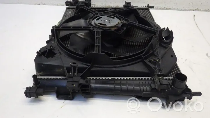 Opel Vivaro Coolant radiator 8200411166