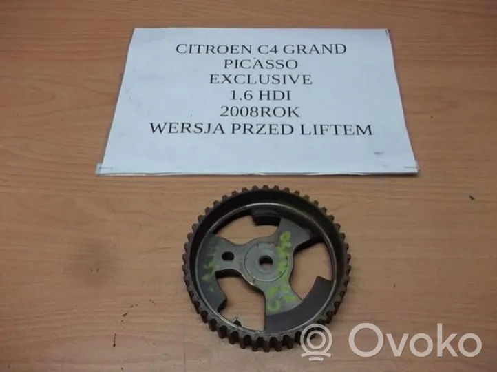 Citroen C4 I Picasso Timing chain sprocket 9646075210