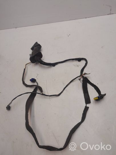 Renault Megane II Cableado de puerta delantera 8200772524